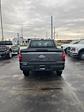 2024 Ford F-150 SuperCrew Cab 4x4, Pickup for sale #T41837 - photo 5