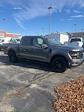 2024 Ford F-150 SuperCrew Cab 4x4, Pickup for sale #T41839 - photo 6