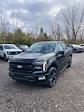 2024 Ford F-150 SuperCrew Cab 4x4, Pickup for sale #T41843 - photo 2