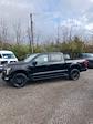 2024 Ford F-150 SuperCrew Cab 4x4, Pickup for sale #T41843 - photo 4