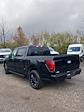 2024 Ford F-150 SuperCrew Cab 4x4, Pickup for sale #T41843 - photo 3