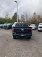 2024 Ford F-150 SuperCrew Cab 4x4, Pickup for sale #T41843 - photo 5