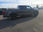 2024 Ford F-150 SuperCrew Cab 4x4, Pickup for sale #T41876 - photo 11