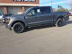 2024 Ford F-150 SuperCrew Cab 4x4, Pickup for sale #T41876 - photo 3