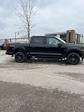 2024 Ford F-150 SuperCrew Cab 4x4, Pickup for sale #T41881 - photo 3