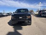 2024 Ford F-150 SuperCrew Cab 4x4, Pickup for sale #T41882 - photo 6