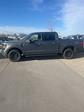 2024 Ford F-150 SuperCrew Cab 4x4, Pickup for sale #T41883 - photo 3