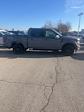 2024 Ford F-150 SuperCrew Cab 4x4, Pickup for sale #T41883 - photo 27