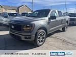 2024 Ford F-150 SuperCrew Cab 4x4, Pickup for sale #T41894 - photo 1