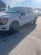 2024 Ford F-150 SuperCrew Cab 4x4, Pickup for sale #T41895 - photo 36