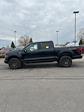 2024 Ford F-150 SuperCrew Cab 4x4, Pickup for sale #T41910 - photo 11