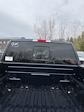 2024 Ford F-150 SuperCrew Cab 4x4, Pickup for sale #T41918 - photo 16