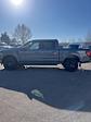 2024 Ford F-150 SuperCrew Cab 4x4, Pickup for sale #T42033 - photo 7