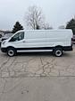 New 2024 Ford Transit 150 Base Low Roof RWD, Empty Cargo Van for sale #T42045 - photo 3