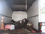 Used 2001 Isuzu Truck Standard Cab 4x2, Box Truck for sale #RBR0T1VA101240 - photo 7