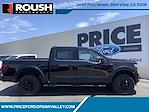 New 2024 Ford F-150 XLT SuperCrew Cab 4x4, Pickup for sale #00224278 - photo 1