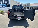 New 2024 Ford F-150 XLT SuperCrew Cab 4x4, Pickup for sale #00224278 - photo 6