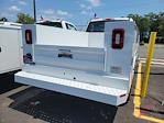 2023 Ford Open Service Utility 8 FT Body Reg Cab F250 4x4 for sale #23W0387 - photo 2