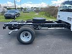 New 2024 Ford F-350 XL Regular Cab RWD, Cab Chassis for sale #F30769 - photo 7