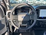 New 2024 Ford F-150 XL Regular Cab RWD, Pickup for sale #F31070 - photo 13