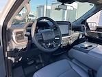 New 2024 Ford F-150 XL Regular Cab RWD, Pickup for sale #F31070 - photo 6