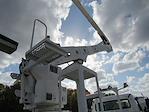 Used 2016 Freightliner M2 106 Conventional Cab 4x2, Bucket Truck for sale #R-30155 - photo 28