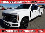 Used 2023 Ford F-250 Crew Cab 4x4, Service Truck for sale #R-30993 - photo 1