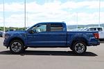 New 2024 Ford F-150 STX SuperCrew Cab 4x4, Pickup for sale #F240296 - photo 5