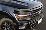 New 2024 Ford F-150 XLT SuperCrew Cab 4x4, Pickup for sale #F240299 - photo 3