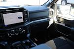 New 2024 Ford F-150 XLT SuperCrew Cab 4x4, Pickup for sale #F240300 - photo 29