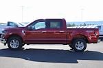 New 2024 Ford F-150 XLT SuperCrew Cab 4x4, Pickup for sale #F240347 - photo 6