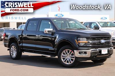 New 2024 Ford F-150 XLT SuperCrew Cab 4x4, Pickup for sale #F240354 - photo 1