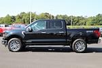 New 2024 Ford F-150 XLT SuperCrew Cab 4x4, Pickup for sale #F240354 - photo 6