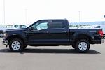 New 2024 Ford F-150 XL SuperCrew Cab 4x4, Pickup for sale #F240380 - photo 6