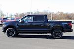 New 2024 Ford F-150 XLT SuperCrew Cab 4x4, Pickup for sale #F240417 - photo 6