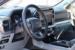 New 2024 Ford F-150 XLT SuperCrew Cab 4x4, Pickup for sale #F240623 - photo 16