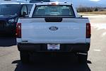 New 2024 Ford F-150 XL Regular Cab 4x2, Pickup for sale #F240649 - photo 7