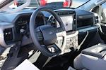 New 2024 Ford F-150 XL Regular Cab 4x2, Pickup for sale #F240649 - photo 13