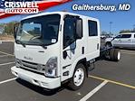 New 2024 Isuzu NPR-HD Crew Cab 4x2, Cab Chassis for sale #240189 - photo 1