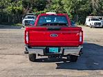 New 2024 Ford F-250 XL Regular Cab 4x4, Plow Truck for sale #TL1178 - photo 4