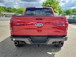 Used 2017 Ford F-150 Raptor SuperCrew Cab 4x4, Pickup for sale #T24248B - photo 7