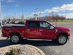 New 2024 Ford F-150 XLT SuperCrew Cab 4x4, Pickup for sale #T35057 - photo 6