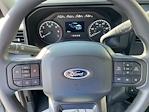 2024 Ford F-250 Regular Cab 4x4, Pickup for sale #T76058 - photo 11