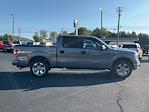 2013 Ford F-150 SuperCrew Cab 4x2, Pickup for sale #AT61631 - photo 5