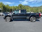 2024 Ford F-250 Crew Cab 4x4, Pickup for sale #AT62051 - photo 8