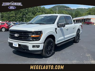 2024 Ford F-150 SuperCrew Cab 4x4, Pickup for sale #T61911 - photo 1