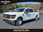 2024 Ford F-150 SuperCrew Cab 4x2, Pickup for sale #T61926 - photo 1