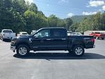 2024 Ford F-150 SuperCrew Cab 4x4, Pickup for sale #T62019 - photo 8