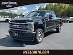 2024 Ford F-350 Crew Cab SRW 4x4, Pickup for sale #T62143 - photo 1