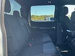 2024 Ford F-150 SuperCrew Cab 4x4, Pickup for sale #T62315 - photo 14